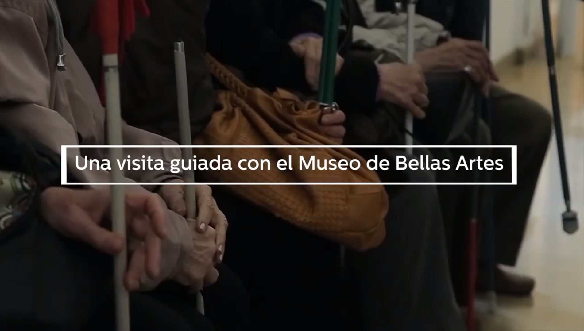 Visita guiada al Museo de Bellas Artes