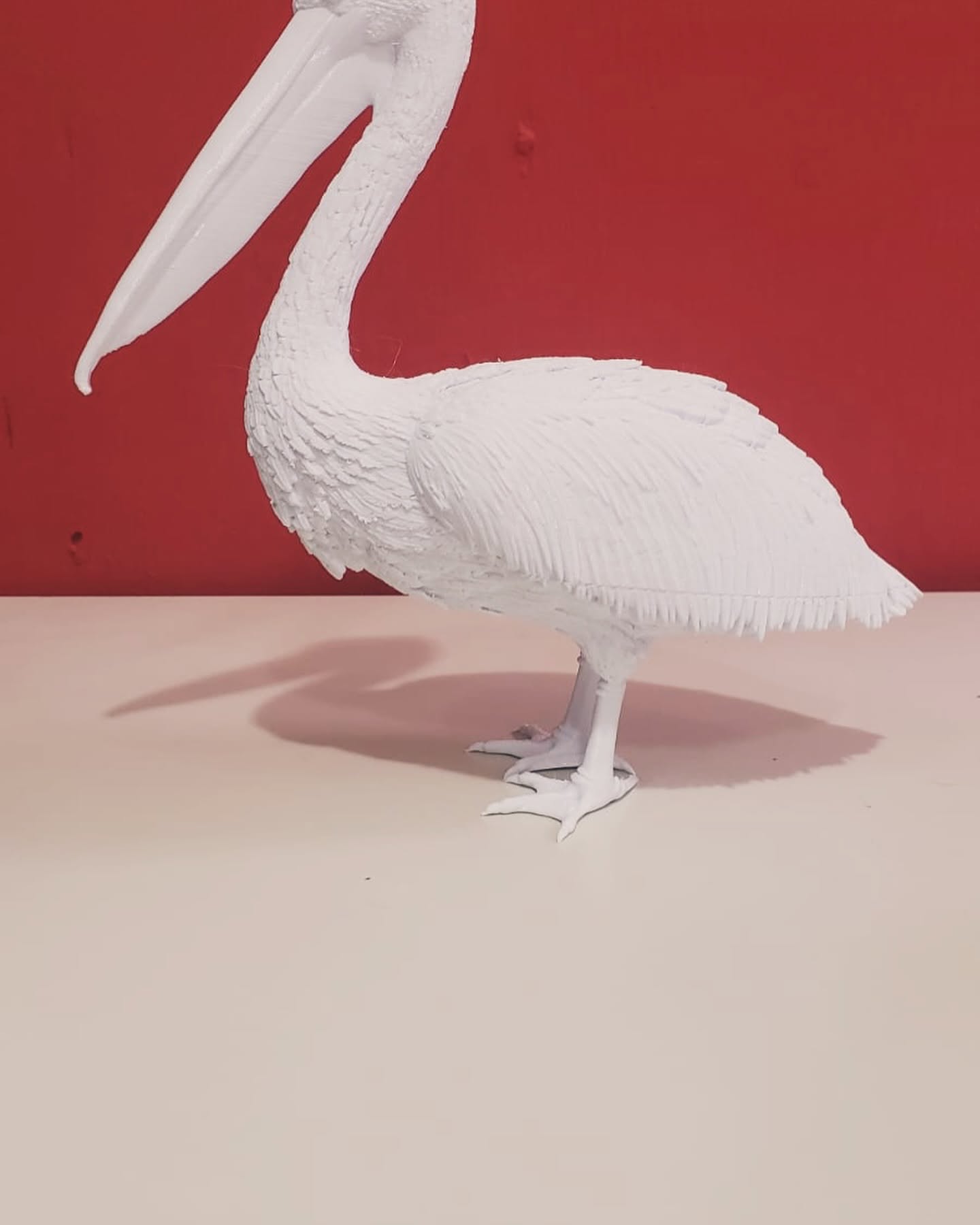 Arte para ciegos en Temaiken